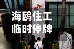 海鸥住工临时停牌！拟筹划控制权变更事项，公司已连亏三年半-第2张图片
