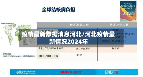 疫情最新数据消息河北/河北疫情最新情况2024年