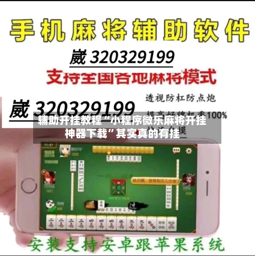 辅助开挂教程“小程序微乐麻将开挂神器下载”其实真的有挂-第2张图片