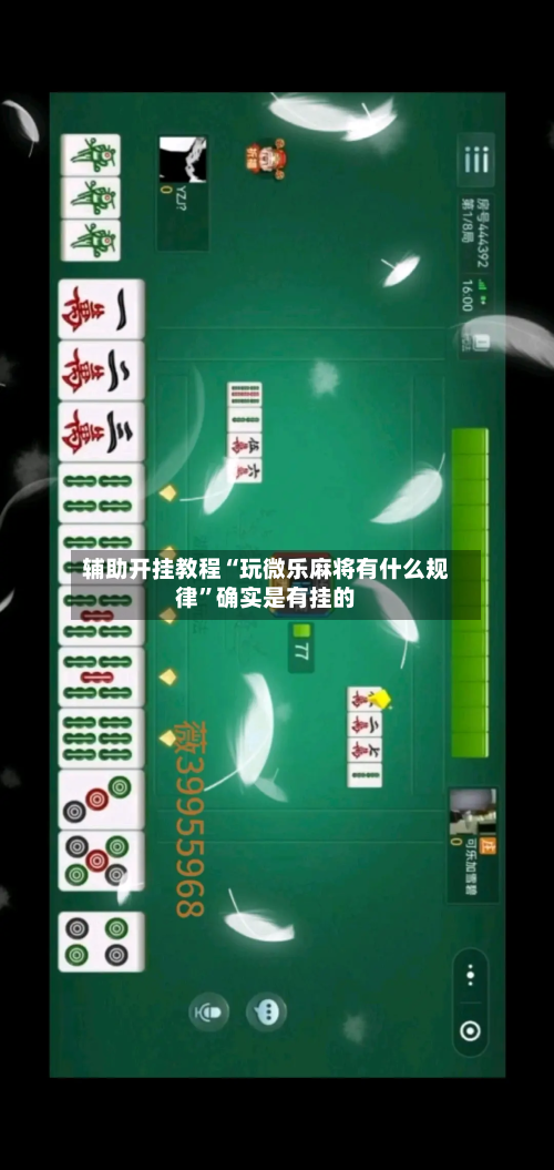 辅助开挂教程“玩微乐麻将有什么规律”确实是有挂的-第3张图片