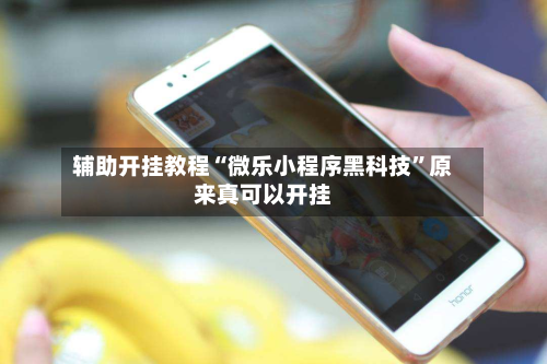辅助开挂教程“微乐小程序黑科技”原来真可以开挂-第2张图片