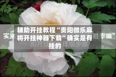 辅助开挂教程“贵阳微乐麻将开挂神器下载”确实是有挂的-第2张图片