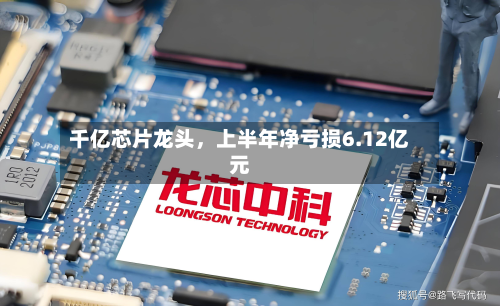 千亿芯片龙头，上半年净亏损6.12亿元-第2张图片