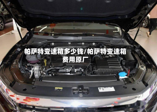 帕萨特变速箱多少钱/帕萨特变速箱费用原厂