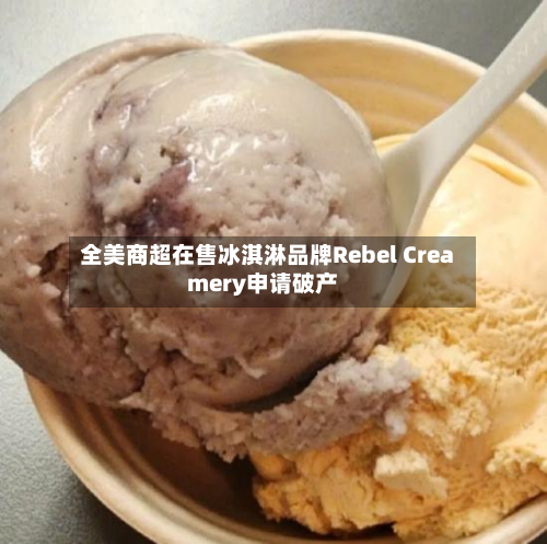全美商超在售冰淇淋品牌Rebel Creamery申请破产