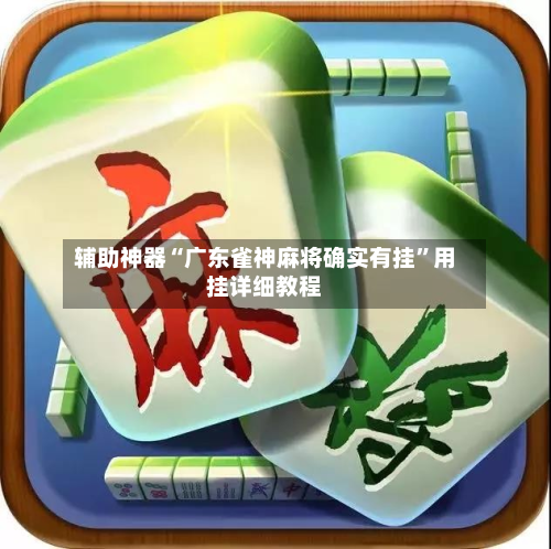 辅助神器“广东雀神麻将确实有挂”用挂详细教程