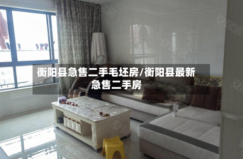 衡阳县急售二手毛坯房/衡阳县最新急售二手房