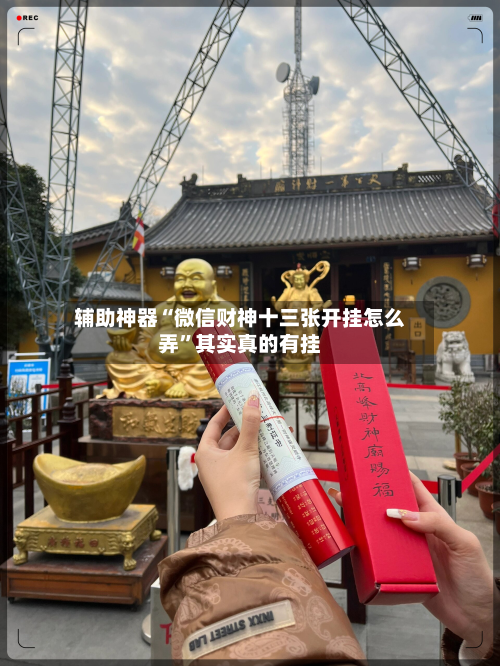 辅助神器“微信财神十三张开挂怎么弄”其实真的有挂-第2张图片