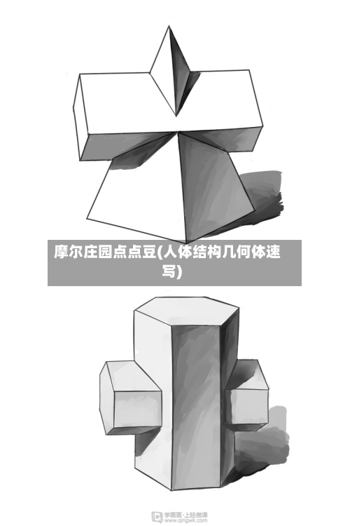摩尔庄园点点豆(人体结构几何体速写)-第2张图片