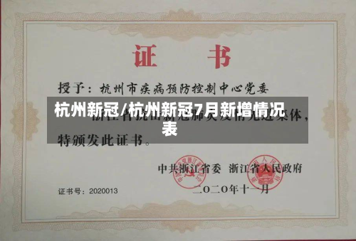 杭州新冠/杭州新冠7月新增情况表