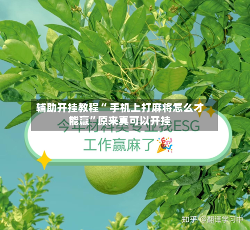 辅助开挂教程“ 手机上打麻将怎么才能赢”原来真可以开挂