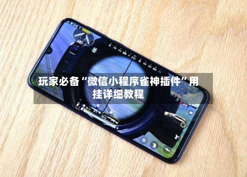 玩家必备“微信小程序雀神插件”用挂详细教程-第2张图片