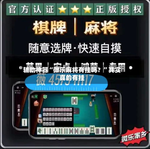 辅助神器“微乐麻将有挂吗？”其实真的有挂-第3张图片