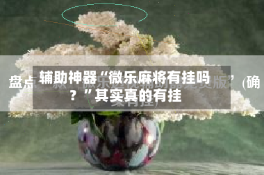 辅助神器“微乐麻将有挂吗？”其实真的有挂-第2张图片