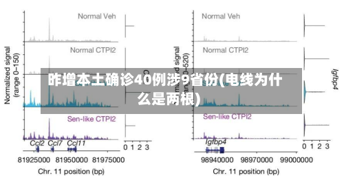 昨增本土确诊40例涉9省份(电线为什么是两根)-第2张图片