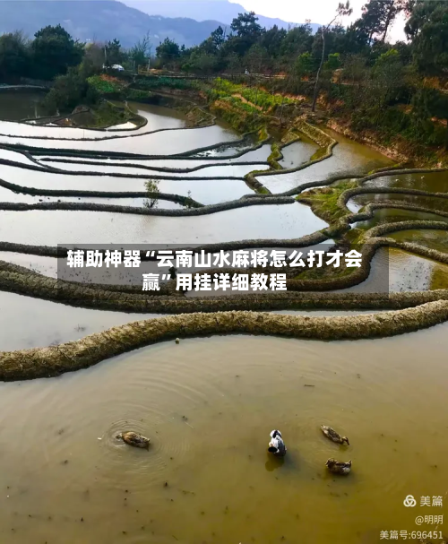 辅助神器“云南山水麻将怎么打才会赢”用挂详细教程-第3张图片