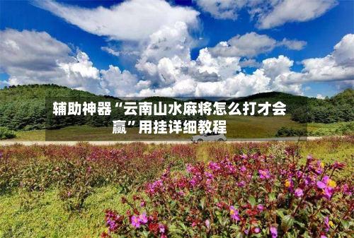 辅助神器“云南山水麻将怎么打才会赢”用挂详细教程