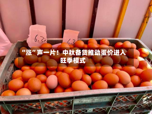 “涨”声一片！中秋备货推动蛋价进入旺季模式