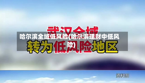 哈尔滨全域低风险(哈尔滨理财中低风险)