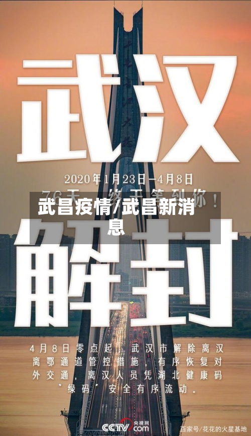 武昌疫情/武昌新消息