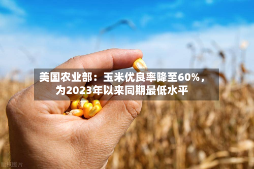 美国农业部：玉米优良率降至60%	，为2023年以来同期最低水平-第1张图片