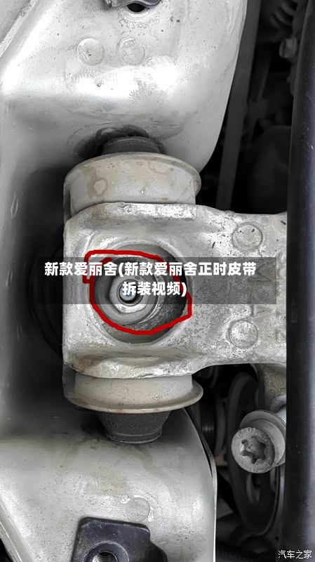 新款爱丽舍(新款爱丽舍正时皮带拆装视频)
