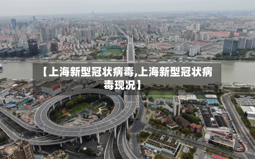 【上海新型冠状病毒,上海新型冠状病毒现况】-第2张图片