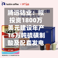 腾远钴业：拟投资1800万美元建设年产16万吨硫磺制酸及配套发电项目-第1张图片