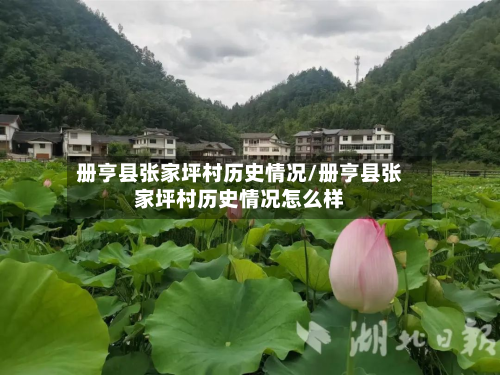 册亨县张家坪村历史情况/册亨县张家坪村历史情况怎么样-第2张图片