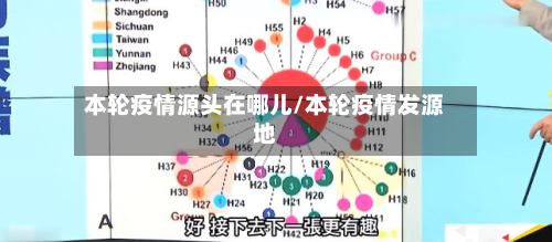本轮疫情源头在哪儿/本轮疫情发源地