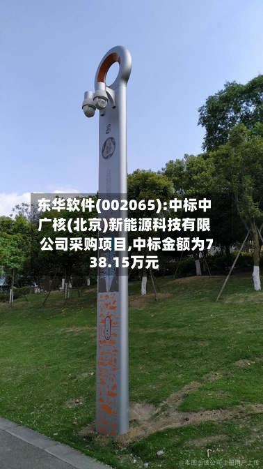 东华软件(002065):中标中广核(北京)新能源科技有限公司采购项目,中标金额为738.15万元