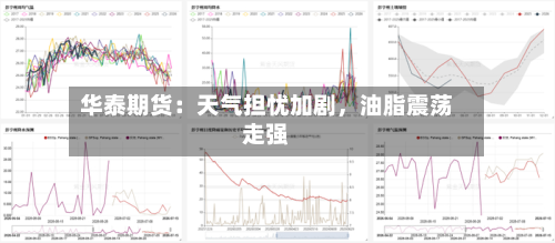 华泰期货：天气担忧加剧，油脂震荡走强-第1张图片