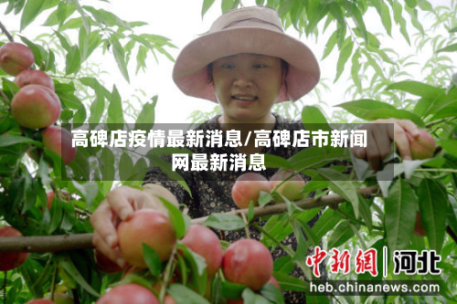 高碑店疫情最新消息/高碑店市新闻网最新消息
