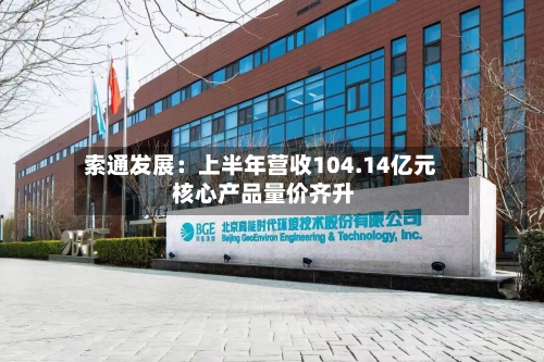 索通发展：上半年营收104.14亿元 核心产品量价齐升-第2张图片
