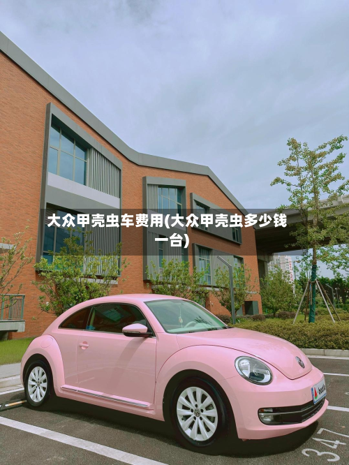 大众甲壳虫车费用(大众甲壳虫多少钱一台)-第2张图片