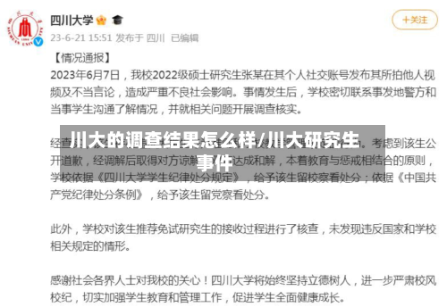 川大的调查结果怎么样/川大研究生事件