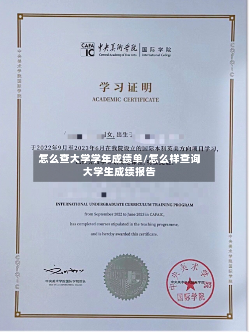 怎么查大学学年成绩单/怎么样查询大学生成绩报告-第2张图片