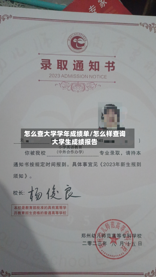 怎么查大学学年成绩单/怎么样查询大学生成绩报告-第3张图片