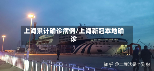 上海累计确诊病例/上海新冠本地确诊-第2张图片
