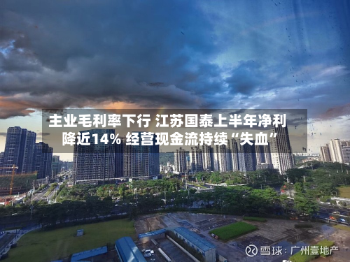 主业毛利率下行 江苏国泰上半年净利降近14% 经营现金流持续“失血”-第2张图片