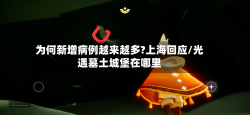 为何新增病例越来越多?上海回应/光遇墓土城堡在哪里-第2张图片