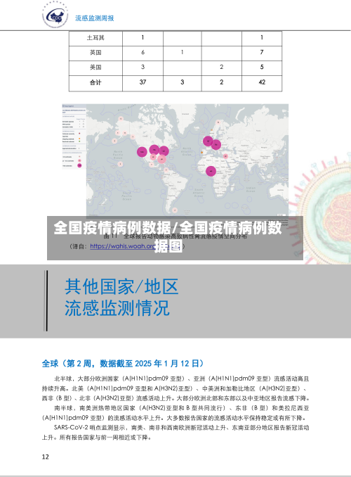 全国疫情病例数据/全国疫情病例数据图