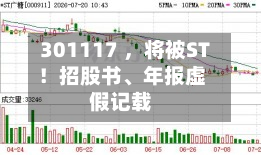 301117 ，将被ST！招股书	、年报虚假记载-第3张图片