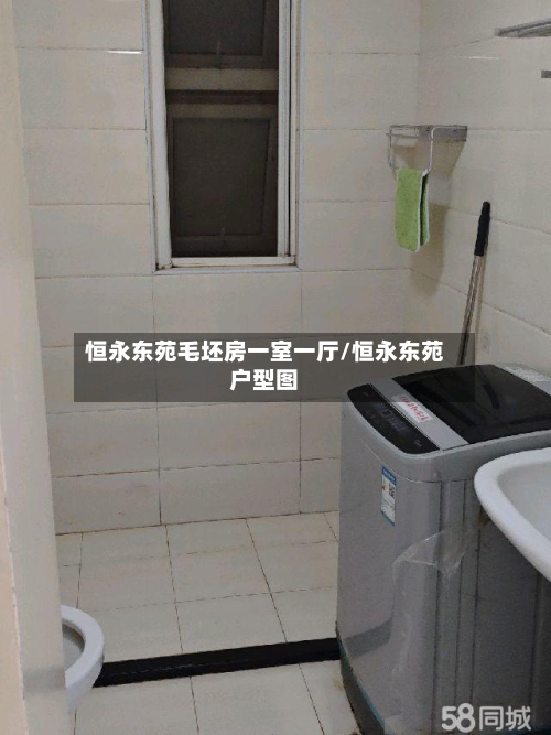 恒永东苑毛坯房一室一厅/恒永东苑户型图-第2张图片