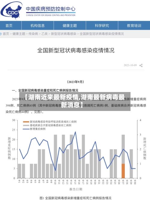 【湖南近来最新疫情,湖南最新病毒最新消息】-第3张图片