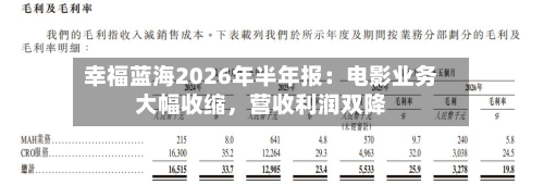 幸福蓝海2026年半年报：电影业务大幅收缩	，营收利润双降-第1张图片