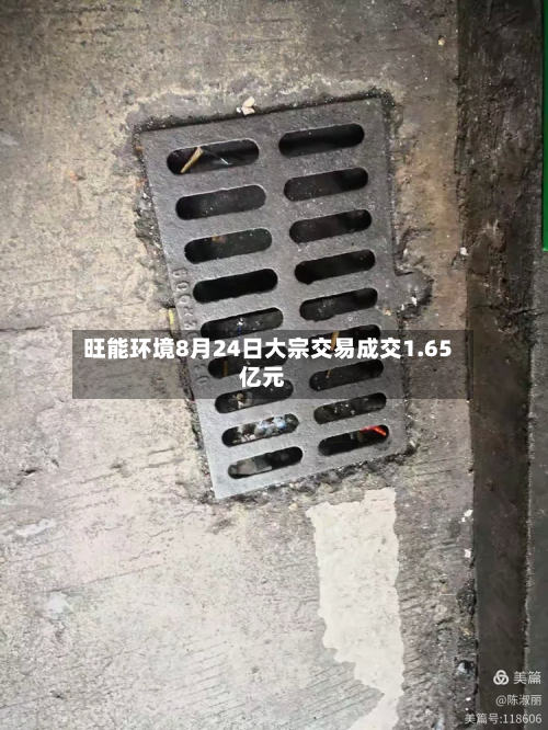 旺能环境8月24日大宗交易成交1.65亿元
