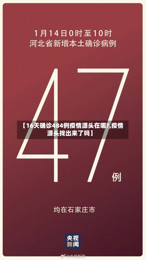 【16天确诊484例疫情源头在哪?,疫情源头找出来了吗】-第2张图片