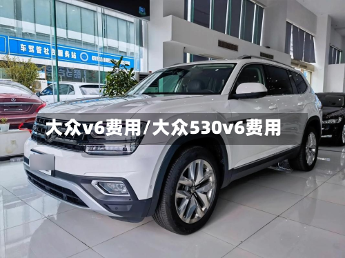 大众v6费用/大众530v6费用