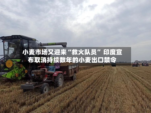 小麦市场又迎来“救火队员” 印度宣布取消持续数年的小麦出口禁令-第1张图片